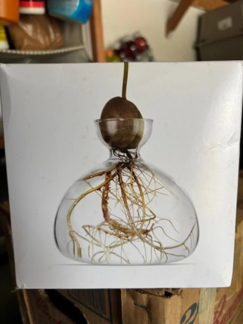 Ilex Studio part sculpture